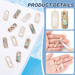 12Pcs 2 Styles Natural Paua Shell/Abalone Shell Pendants&nbsp;FIND-BC0013-35
