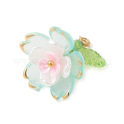 透明なアクリルパーツ  ガラスシードビーズで  花  ゴールドライン入り  アクアマリン  17.5x18x19mm  穴：1.8mm&nbsp;PALLOY-MZ00822-05
