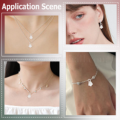 5Pcs 925 Sterling Silver Charms&nbsp;STER-BBC0009-44B
