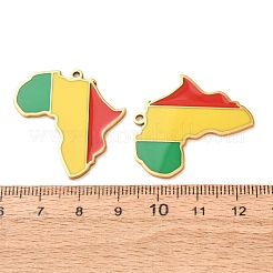 304 Stainless Steel & Enamel Pendants&nbsp;SA-CBA6ECE-01G-G02
