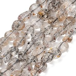 天然な黒雲母ビーズ連売り  ナゲット  タンブルストーン  6~10.5x5.5~7.5x3~6mm  穴：0.8mm  約50~54個/連  14.96''（38センチメートル）&nbsp;GG-CBAC61B-B02-02-A