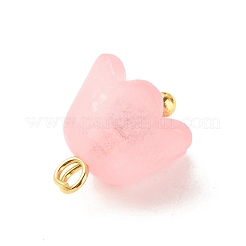 Transparent Acrylic Charms&nbsp;PALLOY-JF01603-02