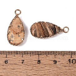 Natural Picture Jasper Faceted Pendants&nbsp;G-Q606-104G-07