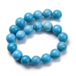 Dyed Natural Magnesite Beads Strands&nbsp;G-P558-A01-01A