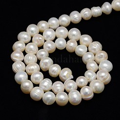 天然養殖淡水パールビーズ連売り  ポテト  乳白色  7~8mm  穴：0.8mm  約46~48個/連  12.6インチ&nbsp;PEAR-L001-C-05