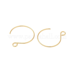 304 Stainless Steel Earring Hooks&nbsp;STAS-L216-02A-G01