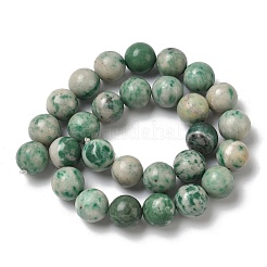 Natural Green Spot Jasper Beads Strands&nbsp;G-F818-A05-14mm