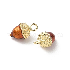 Alloy Enamel Charms&nbsp;FIND-C074-02A