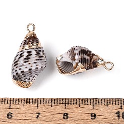 Electroplated Natural Shell Pendants&nbsp;BSHE-T015-03