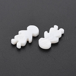 Natural Freshwater Shell Beads&nbsp;SHEL-S276-155
