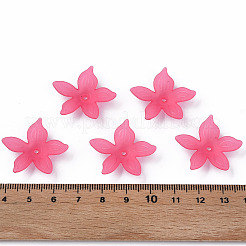 Transparent Acrylic Beads&nbsp;X-MACR-S373-127-D