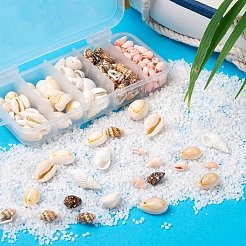 4スタイルの天然タカラガイ＆トランペット＆貝殻ビーズ  約165個/箱&nbsp;BSHE-FS0001-03