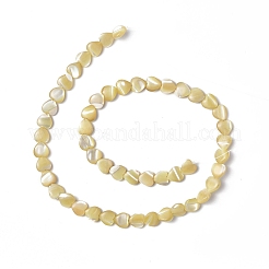 Natural Trochid Shell/Trochus Shell Beads Strands&nbsp;SHEL-F003-08C