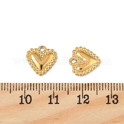 304 Stainless Steel Charms&nbsp;X-STAS-P396-06G