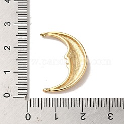 304 Stainless Steel Links Connector Charms&nbsp;STAS-L022-234G