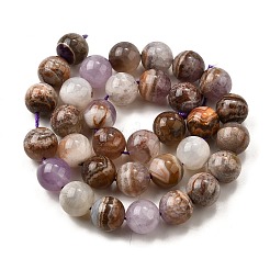 Natural Amethyst Lace Agate Beads Strands&nbsp;G-H312-C01-12mm