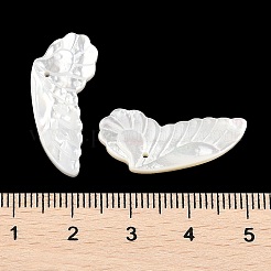 天然の白い貝殻の彫刻ペンダント  翼のチャーム  25.5x11x3mm  穴：1mm&nbsp;SSHEL-I026-07B