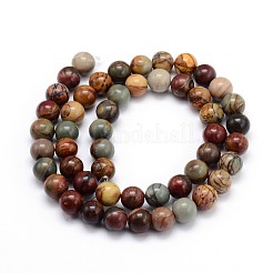 Natural Polychrome Jasper/Picasso Stone/Picasso Jasper Round Bead Strands&nbsp;G-J303-16-8mm