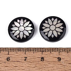 Acrylic & Natural Freshwater Shell Cabochons&nbsp;OACR-N164-06