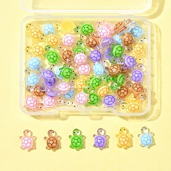 60 個 6 色の蓄光樹脂カボション  暗闇で光る  カメ  ミックスカラー  11x7.5x4mm  10個/カラー&nbsp;RESI-FS0001-95