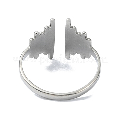 304 Stainless Steel Rings for Women&nbsp;RJEW-M019-06P