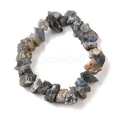 Natural Labradorite Beads Strands&nbsp;G-I283-F14