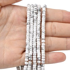 天然ハウライトヒシビーズ連売り  多面カット  ロンデル  4x2mm  穴：1mm  約161個/連  14.76''（37.5センチメートル）&nbsp;G-A299-A08-01