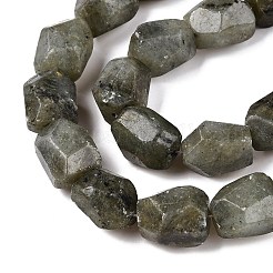Natural Labradorite Beads Strands&nbsp;G-N342-146