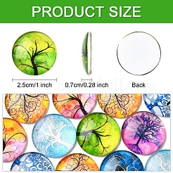 DIYプロジェクト用の木の模様のガラス製フラットバックカボションの半円型15個  ミックスカラー  25x6mm&nbsp;GGLA-YW0001-20