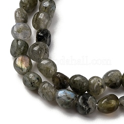 Natural Labradorite Beads Strands&nbsp;G-I389-A35-01A