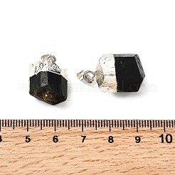 天然黒トルマリンペンダント  ナゲットチャーム  真鍮パーツ  カドミウムフリー＆鉛フリー  銀  20~23x11.5~15x11~13mm  穴：5mm&nbsp;G-G977-02S-01