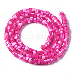 Natural Trochus Shell Beads Strands&nbsp;SHEL-S278-027E
