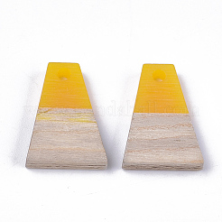 Resin & Wood Pendants&nbsp;RESI-S358-52C