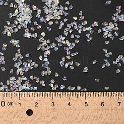 Transparent Electroplate Crushed Glass Craft&nbsp;GLAA-F123-02