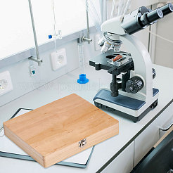 木製の顕微鏡スライド収納ボックス  長方形  ナバホホワイト  228x189x33.5mm  内径：210x62mm&nbsp;CON-WH0015-28