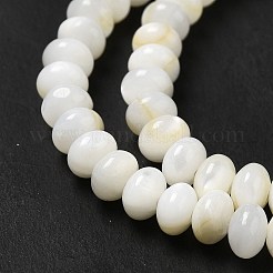 天然淡水シェルビーズ連売り  ロンデル  ベージュ  6x4mm  穴：0.9mm  約97個/連  15.31~15.39''（38.9~39.1センチメートル）&nbsp;BSHE-E026-15B-01