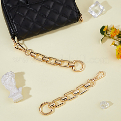 2Pcs Alloy Purse Chains with D Clasps&nbsp;DIY-HS0001-76