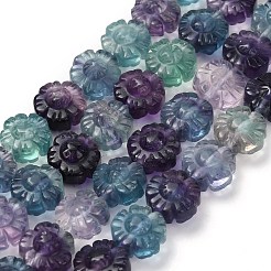 天然蛍石の彫刻ビーズ連売り  花  12~12.5x8~8.5mm  穴：1mm  約33個/連  15.94''（40.5センチメートル）&nbsp;G-L634-J04-F01