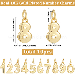 10個10スタイル真鍮チャーム  数  丸カン付き  18KGP本金メッキ  11.5~12x4.5~8x1.5~1.7mm  穴：3.4mm  1個/スタイル&nbsp;KK-BBC0025-93
