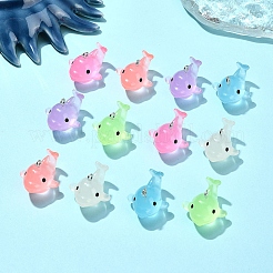 12Pcs 6 Colors Luminous Translucent Resin Pendants&nbsp;RESI-YW0001-85