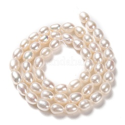 天然養殖淡水パールビーズ連売り  ライス  ビスク  7~8x6mm  穴：0.7mm  約44~45個/連  15''（38.1センチメートル）&nbsp;PEAR-L033-71-01
