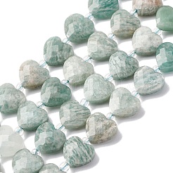 Natural Amazonite Beads Strands&nbsp;G-P570-E15-01