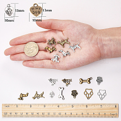 Tibetan Style Alloy Pendants&nbsp;TIBEP-SC0001-09