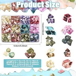 165g 12種類の染色天然淡水貝チップビーズ  ミックスカラー  9~20x4~15x1~5mm  穴：1mm&nbsp;SHEL-FS0001-20