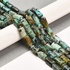 Natural African Turquoise(Jasper) Beads Strands&nbsp;G-G068-A39-01