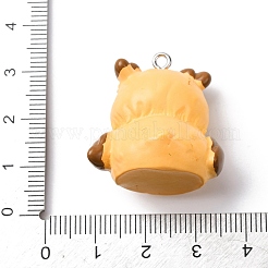 Opaque Resin Pendants&nbsp;RESI-A049-01A