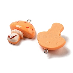 Resin Pendants&nbsp;RESI-Z031-01B