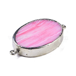 Synthetic Picture Jasper Dyed Connector Charms&nbsp;KK-F868-19P-02