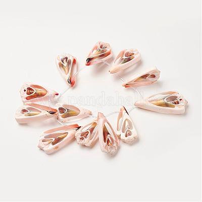 Natural Shell Beads Strands&nbsp;SSHEL-G018-03-1