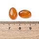 Natural Carnelian Cabochons&nbsp;G-K348-06-3
